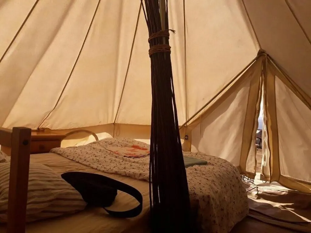 ** ホテル Adeje - Twinfin Hostel & Surf Yoga Camp スペイン