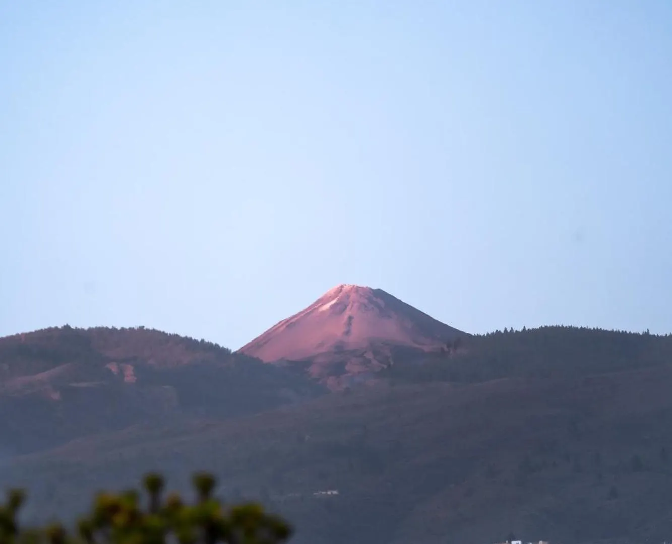 ホテル Adeje - Twinfin Hostel & Surf Yoga Camp