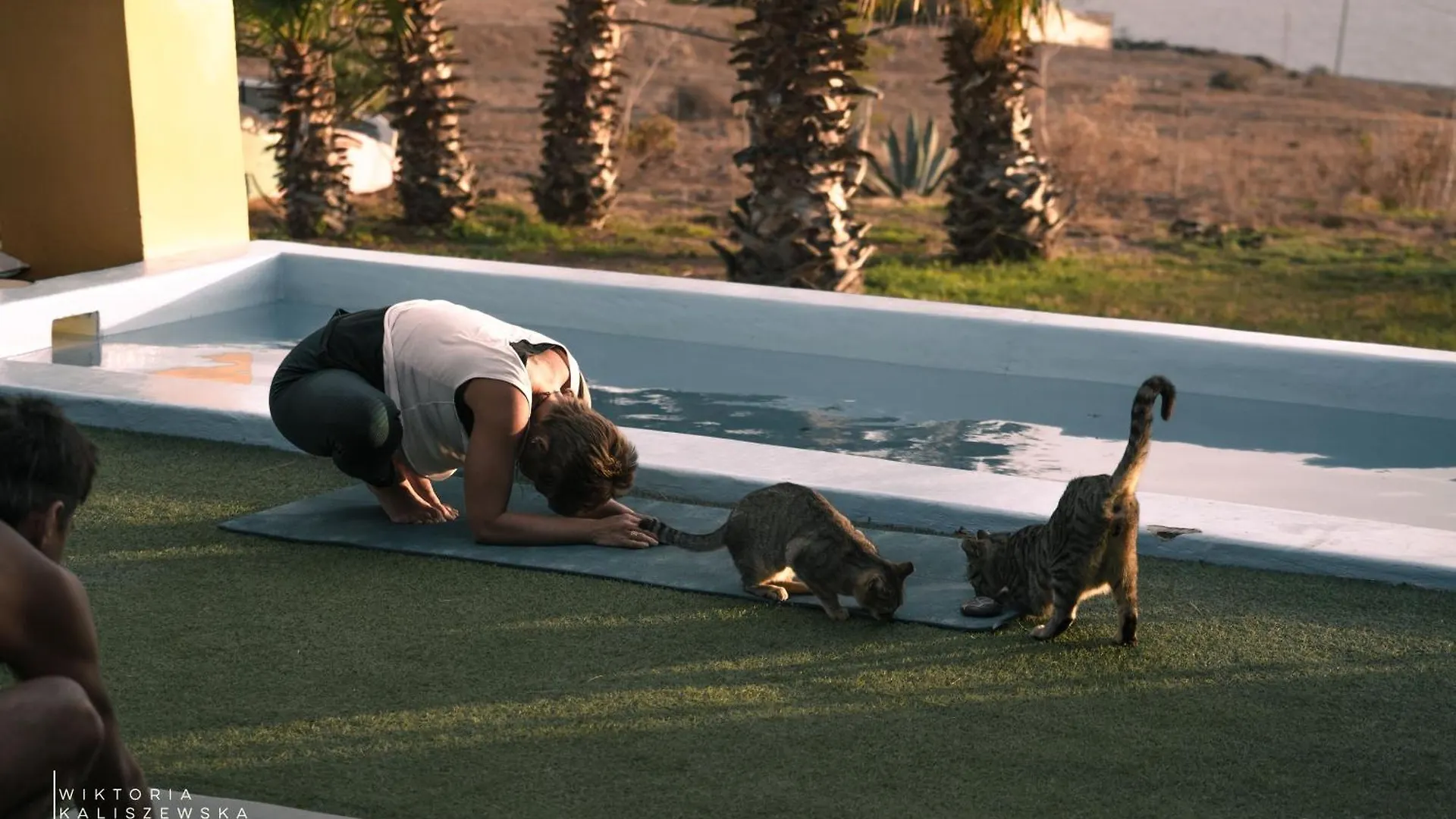 Ξενοδοχείο Adeje - Twinfin Hostel & Surf Yoga Camp