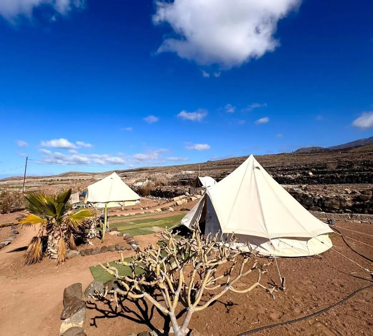 Adeje - Twinfin Hostel & Surf Yoga Camp カジャオ・サルバヘ