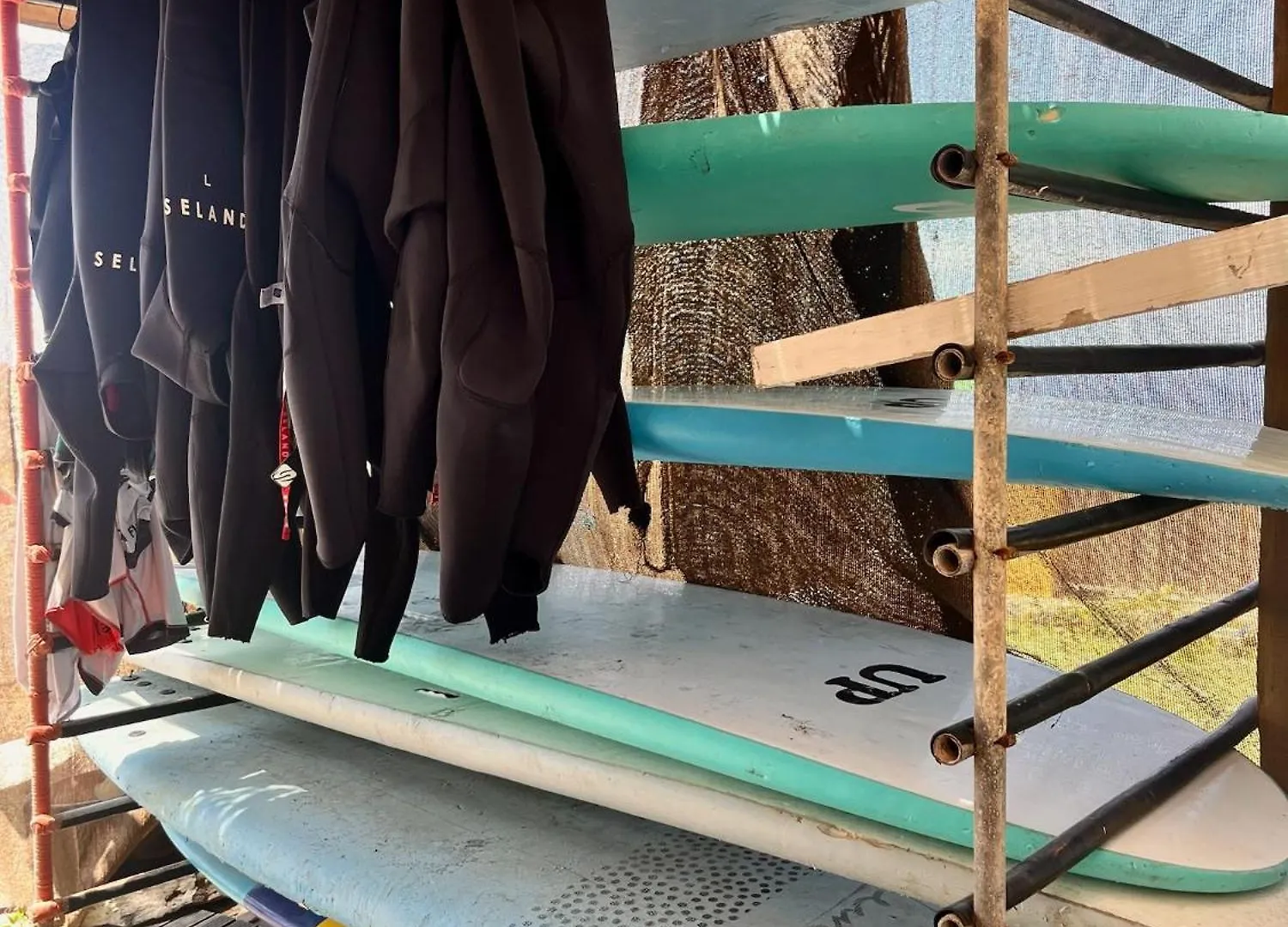 Adeje - Twinfin Hostel & Surf Yoga Camp スペイン
